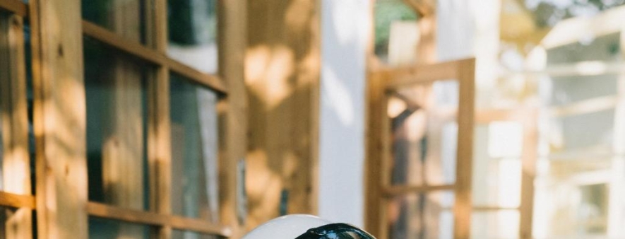 Coach 1941丨唐嫣这件冰球外套请给我来一沓！